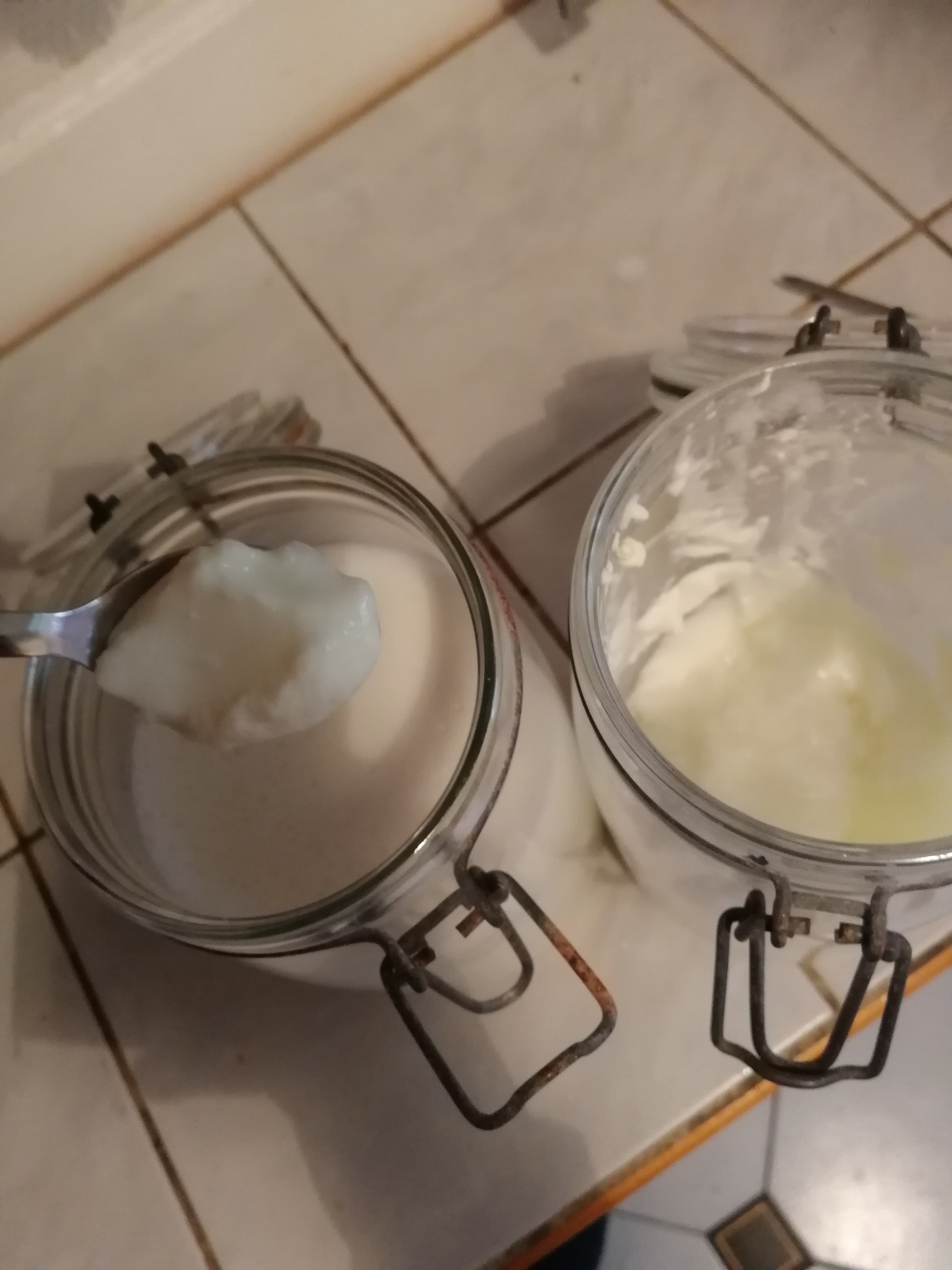 ferment ou yaourt ferment ou yaourt